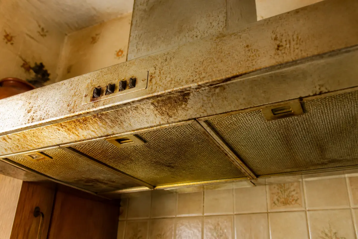 Graisse incrustée des anciennes traces sur votre hotte : Comment nettoyer ?